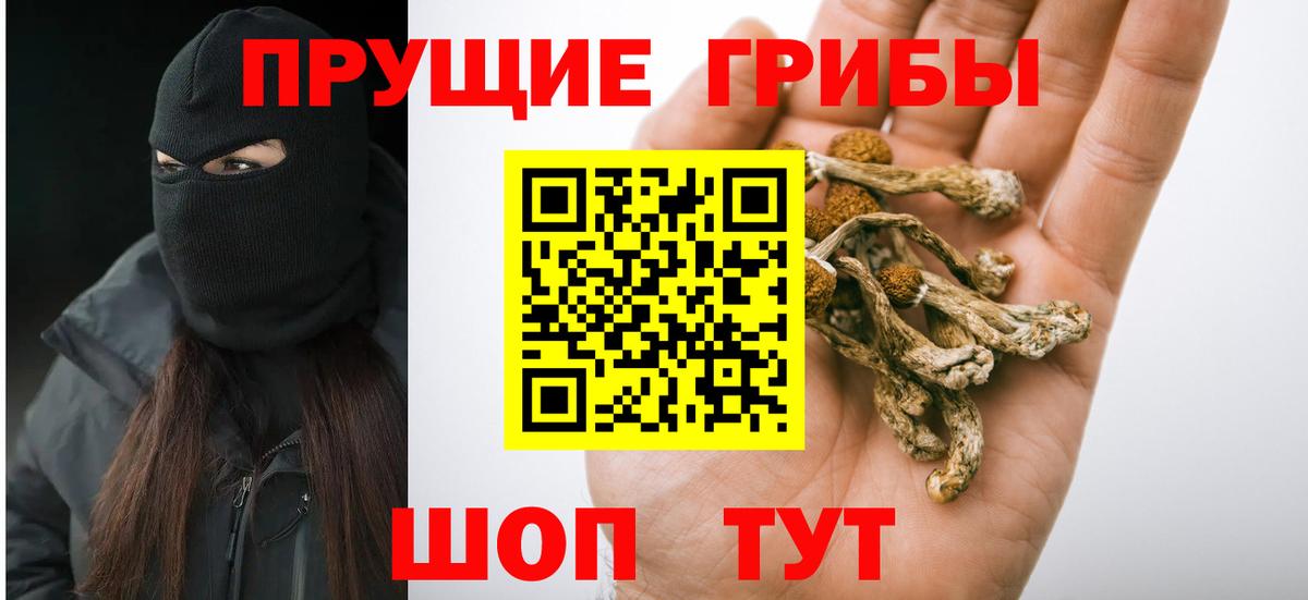 Псилоцибиновые грибы Magic Shrooms Тула