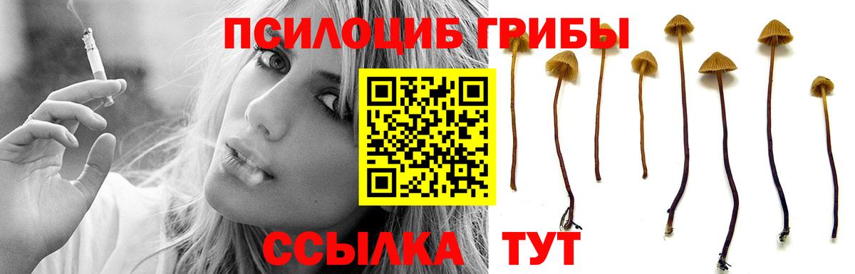продажа наркотиков  Галлюциногенные грибы GOLDEN TEACHER  Вход с VPN  Галлюциногенные грибы Psilocybe  Тула 